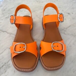 Everlane New Twin Buckle Sandals Tumeric Size 8